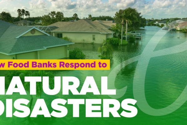 Food banks respond to natural disasters by preparing to offer supplies before, during, and after a disaster or severe weather event. 